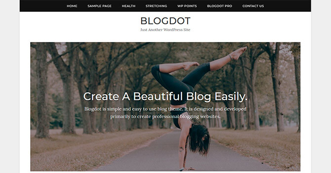 30+ лучших шаблонов для блога WordPress
