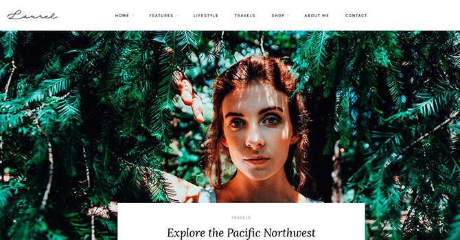 30+ лучших шаблонов для блога WordPress